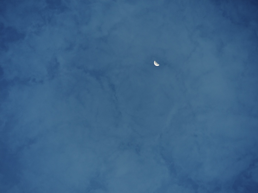 Half moon at sunrise, Key West.