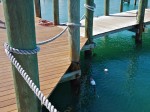 Wharf at Key West, FL