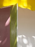 Abstract colors in light and shadow.