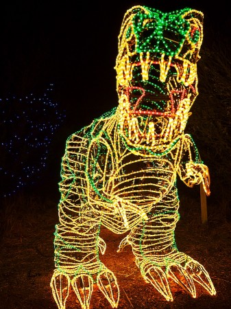 T-Rex at River of Lights, Albuquerque, NM