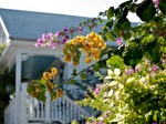 Flowering bushes and Victorian house in Key West, FL