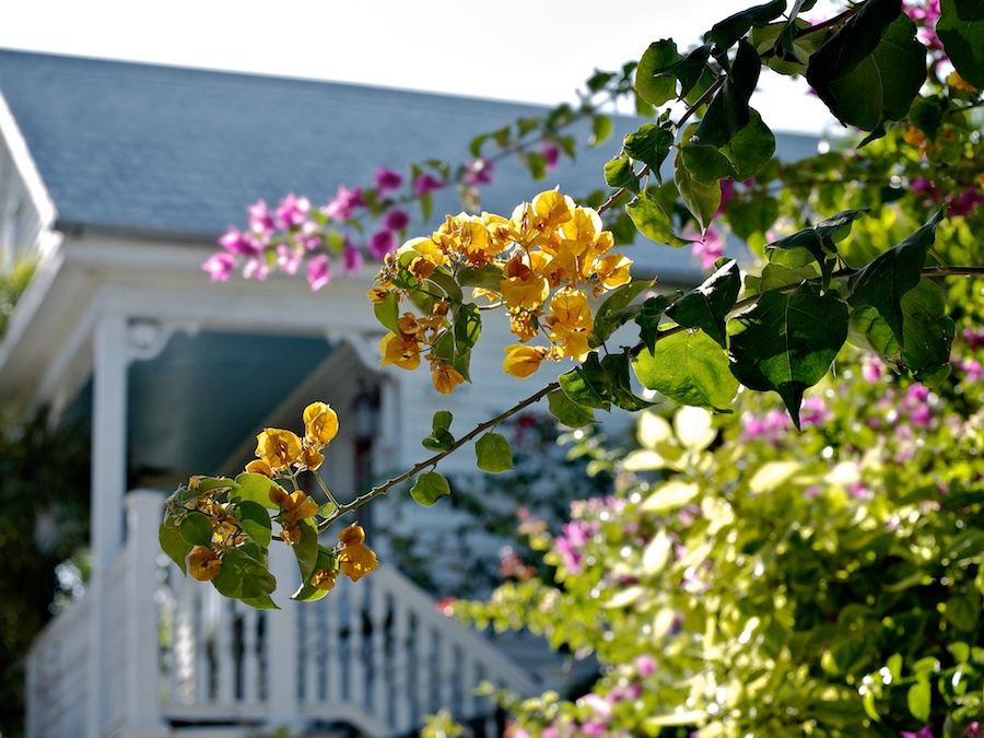 Flowering bushes and Victorian house in Key West, FL