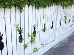 Picket fence with pineapple cut-outs.