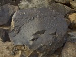 Petroglyph, Albuquerque, NM