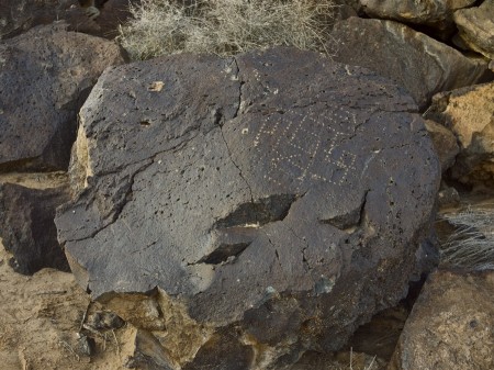 Petroglyph, Albuquerque, NM