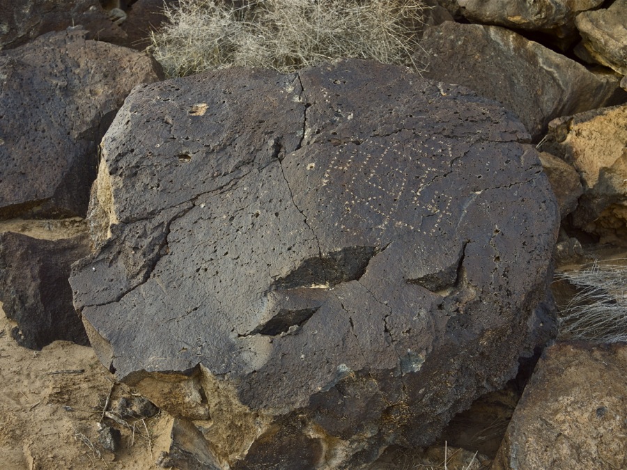 Petroglyph, Albuquerque, NM