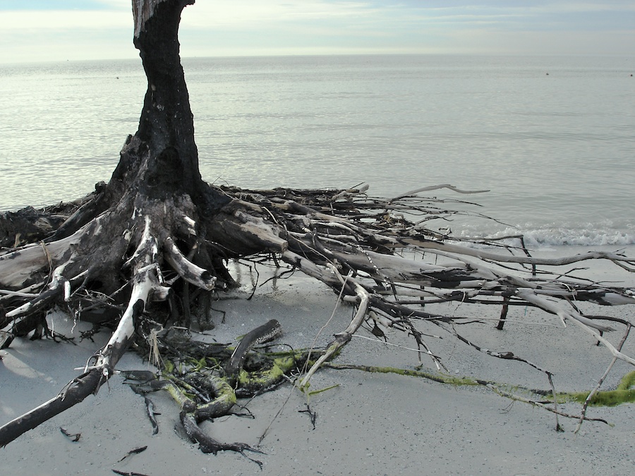 De Soto Beach, FL