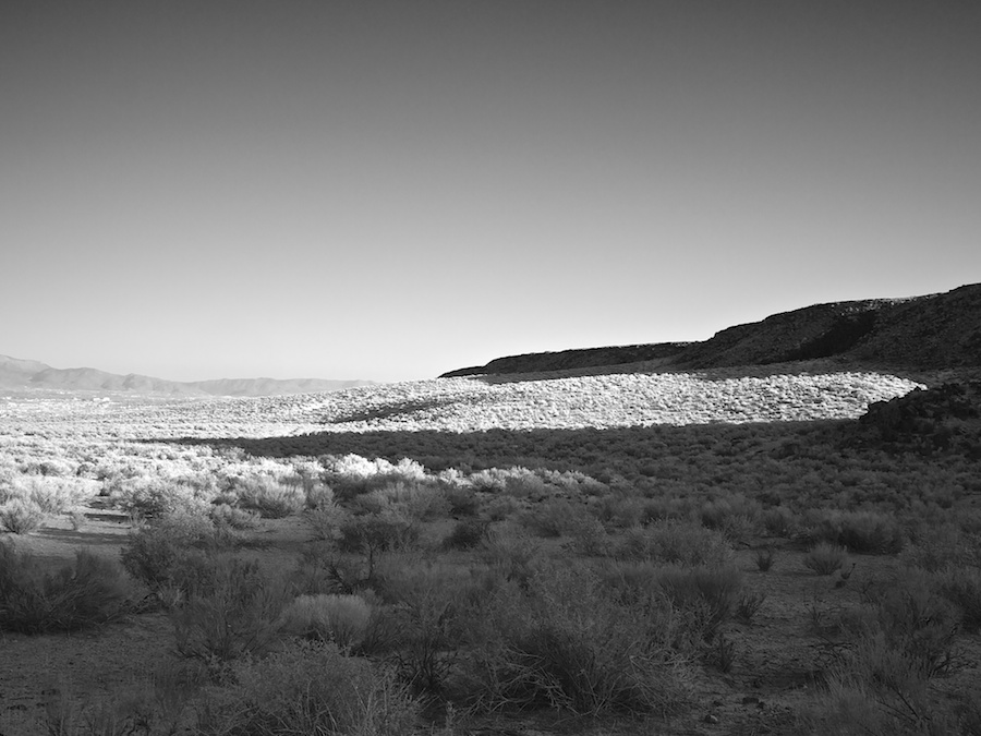 Petroglyph National Monument, Albuquerque, NM