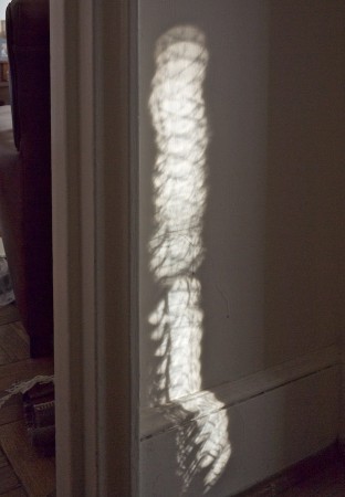 Light and shadow on the wall.