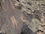 Rock Art, Petroglyph National Monument, Albuquerque, NM