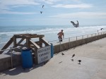 People and birds on the beach.