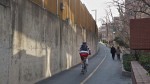 Custis Trail, Arlington, VA