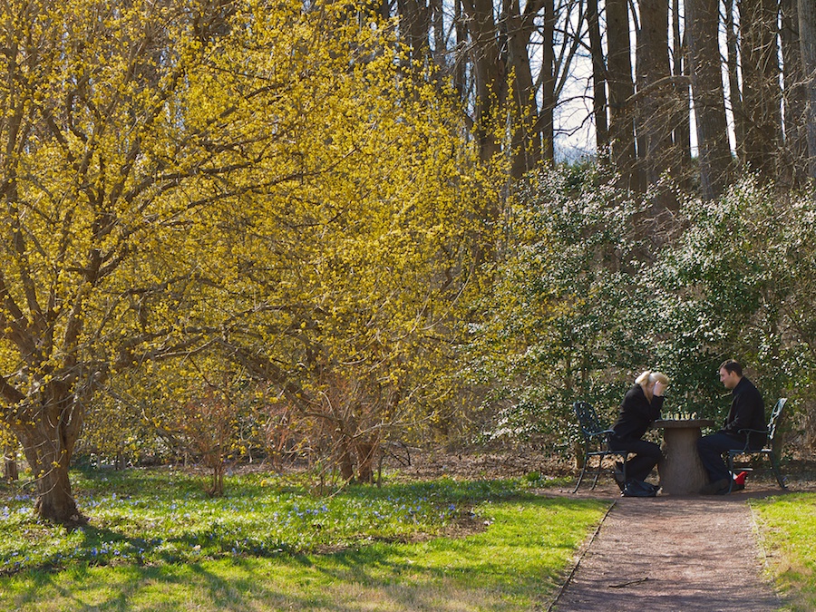 Couple playing chess outdoors, Brookside Gardens, Wheaton, MD
