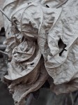 Dried leaves.