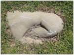 Rock embedded in ground.