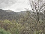 View, Blue Ridge Parkway, NC
