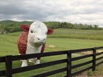 Roadside display, NC