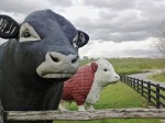 Roadside display, NC