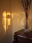 Still life with shadows.