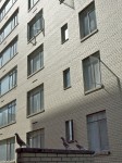Birds silhouetted against building exterior.