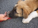 Awwwww.