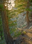 Sunlit path on Sandia Peak, NM