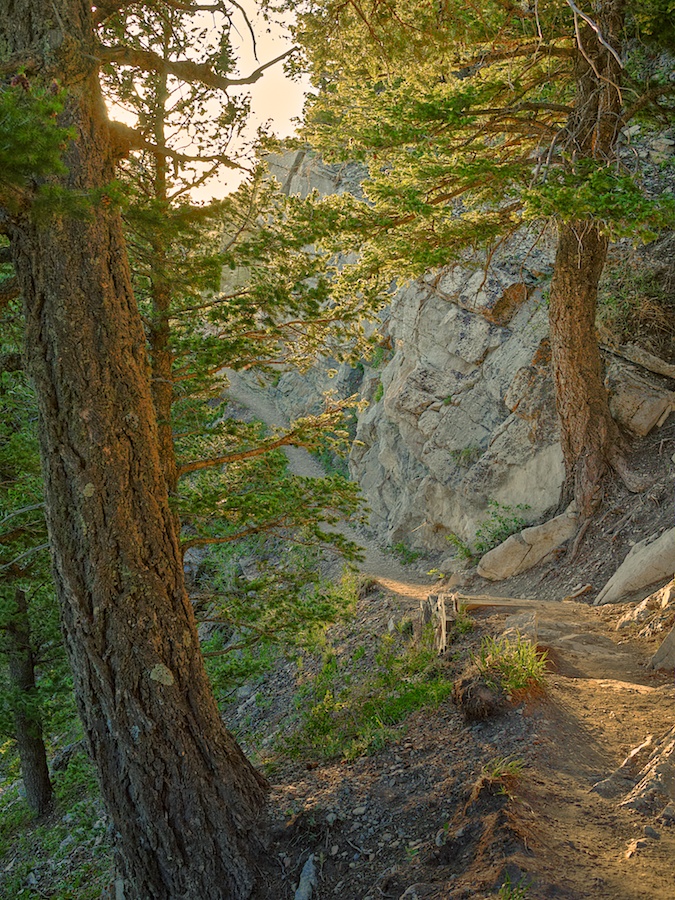 Sunlit path on Sandia Peak, NM