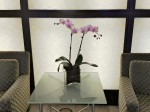 Hotel interior with orchid.
