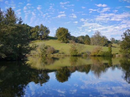 Mirrored sky and landscape in pond.