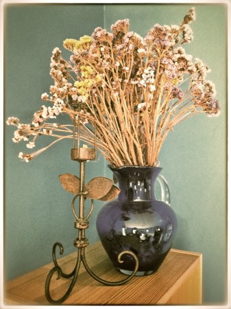 Still life with dried flowers.