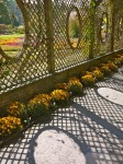 Arborway Trellis Windows & Shadows, Biltmore Estate, Asheville, NC