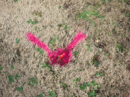 Corner Mark | No enlargement available. Orange flag, pin, pink spray paint surveyor's mark.