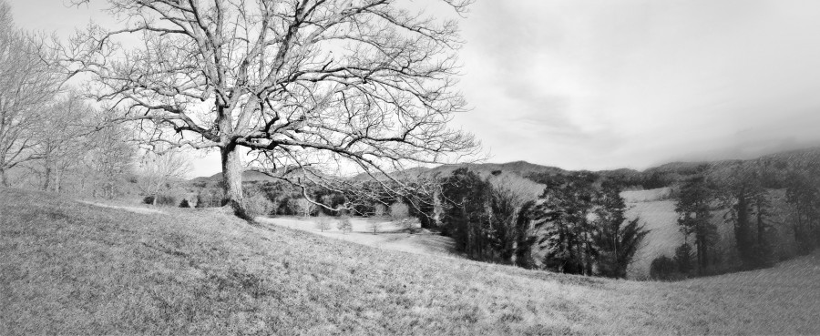 Panorama near the Inn at Biltmore Estate, Asheville, NC