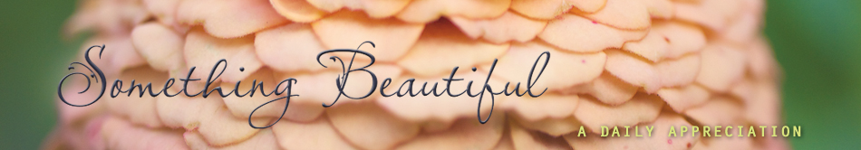 Something Beautiful: A Daily Appreciation